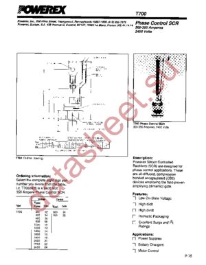 T700083004BY datasheet  